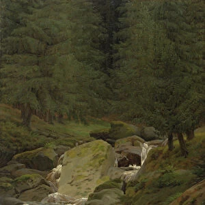 The Evergreens by the Waterfall (oil on canvas)