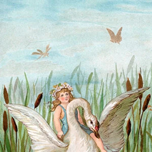 Fairy Riding a White Swan Among Cattails and Lilypads, 1882 (chromolithograph)