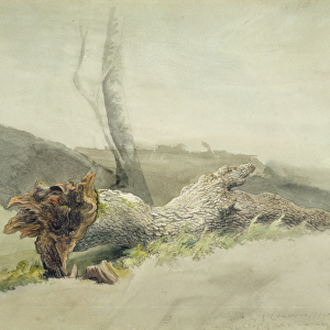 The Fallen Tree, c. 1804 (w / c over graphite on wove paper)
