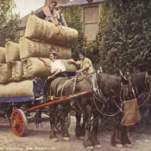 Farmers loading sacks onto a cart (colour photo)