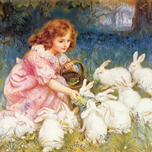 Feeding the Rabbits
