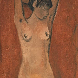 Female Nude on a Brown Background (oil)