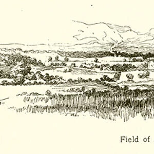 Field of Appomattox (engraving)