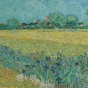 Field with Flowers near Arles, 1888 (oil on canvas)