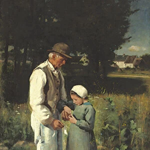 In the fields, Anvers sur Oise, 1882 (oil on canvas)