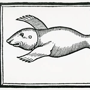 A Fish called Manati from la Historia general de las Indias 1547