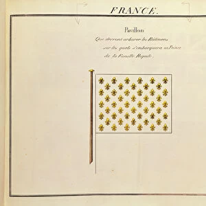 Flag of a Prince of the Royal Family, from Pavillons des Puissances Maritimes