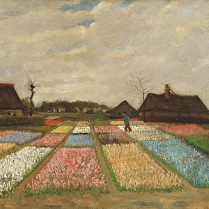 Flower Beds in Holland, c. 1883 (oil on canvas on wood)