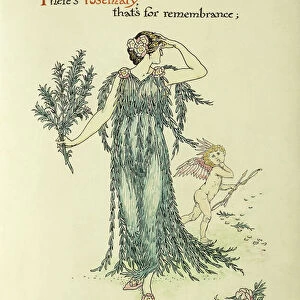 Flowers from Shakespeares Garden: Rosemary, 1906 (watercolour and pen and black ink)