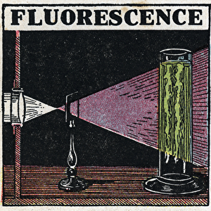 Fluorescence: evidence of the fluorescence of the bodies