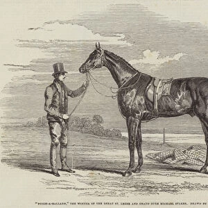 "Foigh-a-Ballagh, "the Winner of the Great St Leger and Grand Duke Michael Stakes (engraving)