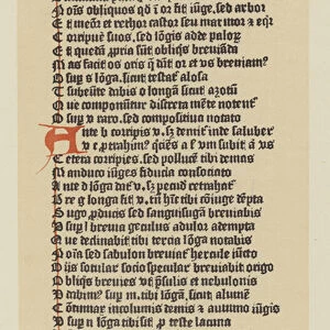 From a Fragment of an Early Dutch Edition of the Doctrinale of Alexander Grammaticus (litho)