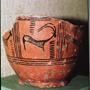Fragment of a vase depicting an ibex, from Mohenjo-Daro, Indus Valley, Pakistan (ceramic)