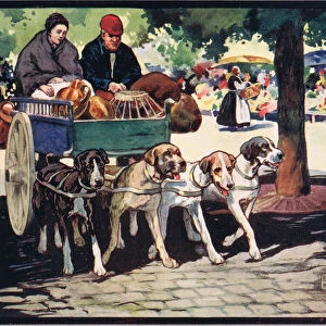 French dog cart, illustration from Helpers Without Hands by Gladys Davidson, published in 1919 (colour litho)