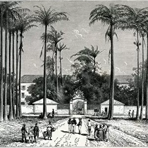 French Guiana Related Images
