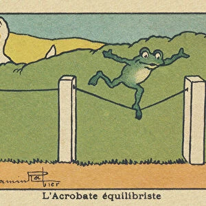 A frog balances on a tight wire. " The Balancing Acrobat", 1936 (illustration)