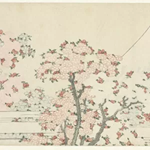 Fuji over Cherry Blossom, c. 1800-1805 (woodcut)