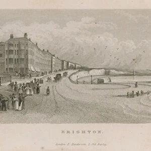 General view along the seafront at Brighton (engraving)