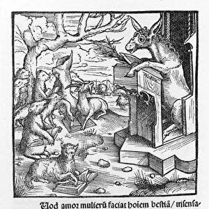 German incunable depicting a donkey teaching a class of forest animals. 1490