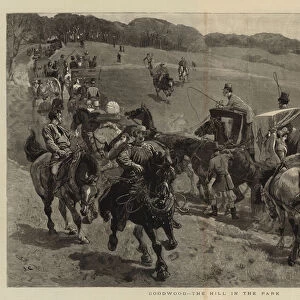 Goodwood, the Hill in the Park (engraving)
