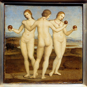The three graces Painting by Raffaello Sanzio dit Raphael (1483-1520). 1504-1505