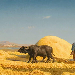 The Grain Threshers, Egypt, 1859 (oil on canvas)