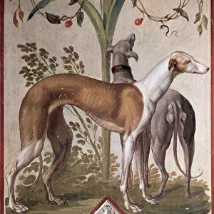Two Greyhounds (mural)