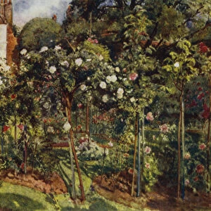 The Grove, Highgate, View of Garden and House (colour litho)