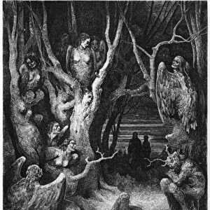 Harpies, illustration from The Divine Comedy (Inferno