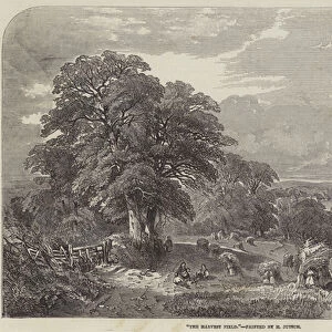 The Harvest Field (engraving)