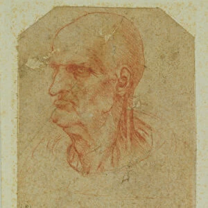 Head of a beardless old man, left profile (red chalk on paper)
