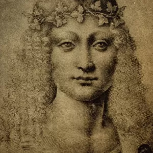 Head of a girl or of a young Bachus; drawing by Leonardo da Vinci. Gallerie dell Accademia, Venice