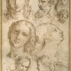 Head studies: a woman, an angel, a youth and a bearded man