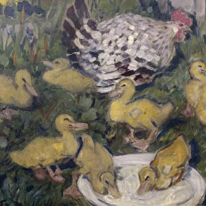 Hen with ducklings, 1906 (oil on canvas)
