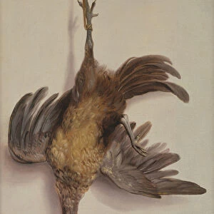 A Hen and a Kingfisher Hanging on a String (oil on canvas)