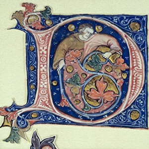 Historiated initial D depicting a man holding a vine (vellum)