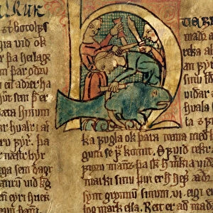 Historiated initial H from an article concerning the division of beached whales