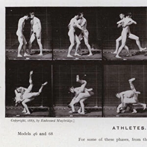 The Human Figure in Motion: Athletes, Wrestling (b / w photo)