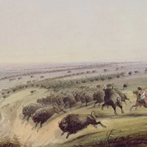 Hunting Buffalo, 1837 (w / c on paper)