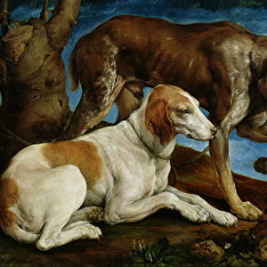 Two Hunting Dogs Tied to a Tree Stump, c. 1548-50 (oil on canvas)