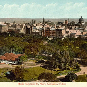 Hyde Park from St Marys Cathedral, Sydney (coloured photo)