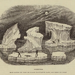 Icebergs (engraving)