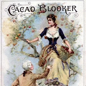 Illustration publicitaire pour le cacao Blooker representant un jeune homme a la mode du