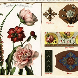 Images of peony and heather from manuscripts and their applicati, 1890 (Chromolithograph)