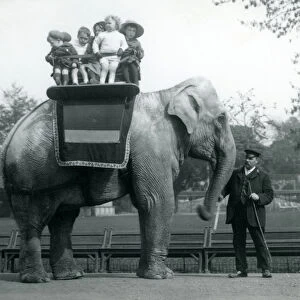 An Indian Elephant, with keeper, taking small children for a ride at London Zoo, c
