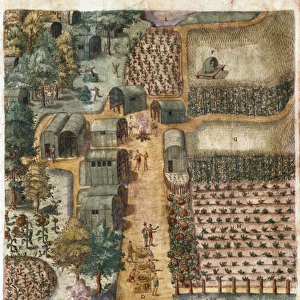 The Indian village of Secoton, c. 1570-80 (w / c on paper) (see 1692)