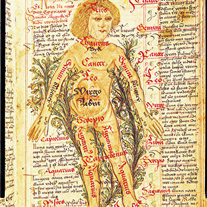 Influence of the stars on illnesses of the human body, from