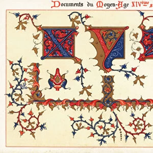 Initial letters XYZ and border foliage from Jean de Sys illumin, 1897 (Chromolithograph)