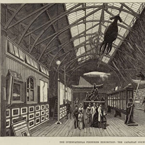 The International Fisheries Exhibition, the Canadian Court (engraving)