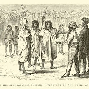Interview with the Chontaquiros Indians introduced on the shore at Bitiricaya (engraving)